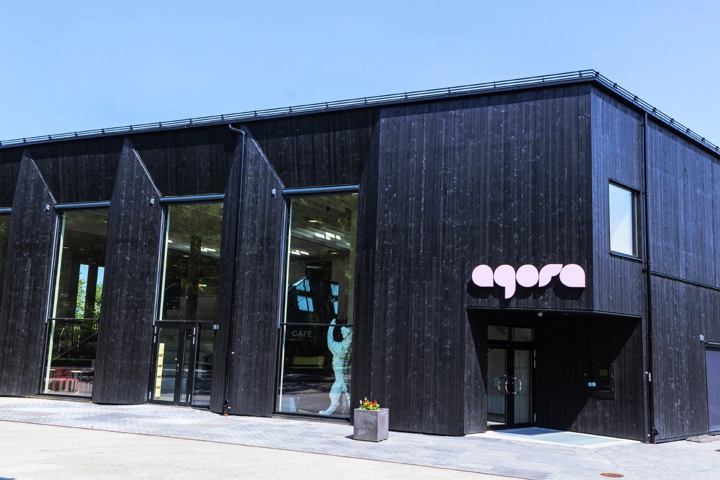 Agora bibliotek.jpg