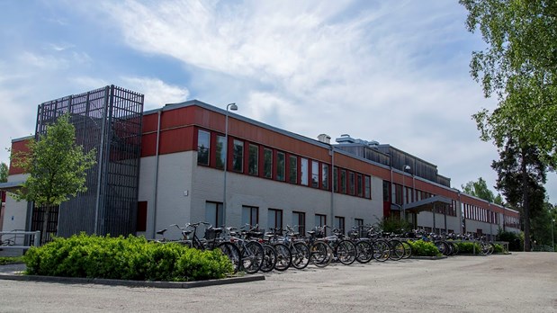 stora-sa-traskolan.jpg
